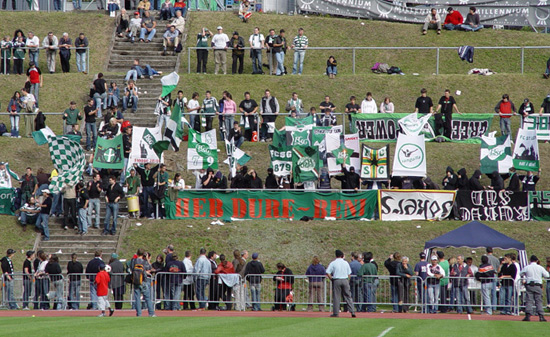 stadium11q